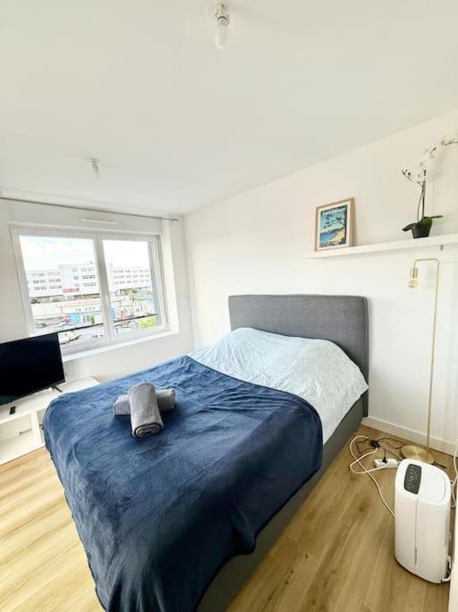 Appartements Meubles Brest Gay Lussac Exteriér fotografie